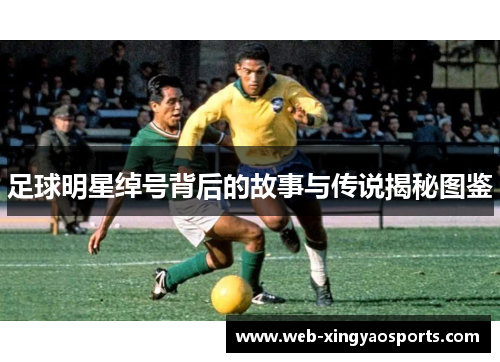 足球明星绰号背后的故事与传说揭秘图鉴