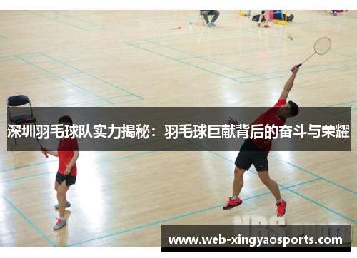 深圳羽毛球队实力揭秘：羽毛球巨献背后的奋斗与荣耀
